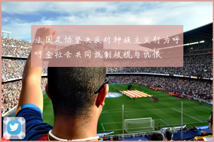 法国足协坚决反对种族主义行为呼吁全社会共同抵制歧视与仇恨