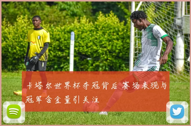 卡塔尔世界杯夺冠背后 赛场表现与冠军含金量引关注