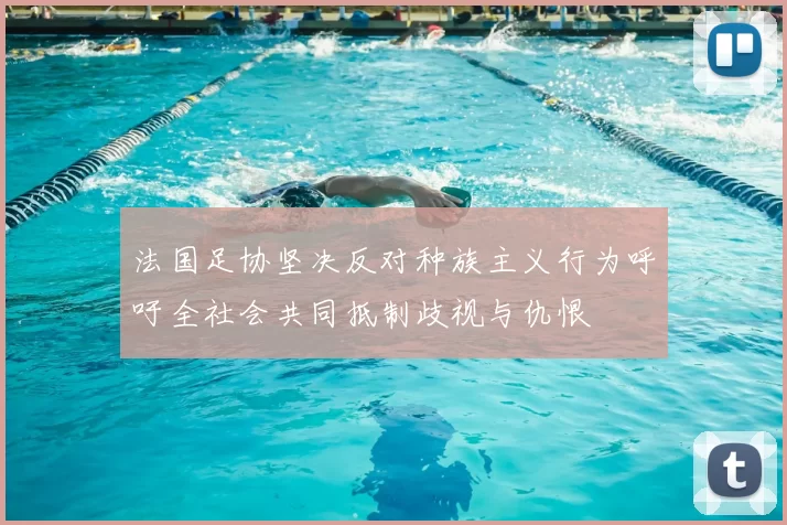法国足协坚决反对种族主义行为呼吁全社会共同抵制歧视与仇恨