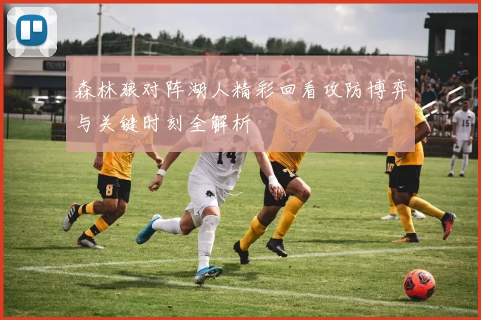 森林狼对阵湖人精彩回看攻防博弈与关键时刻全解析