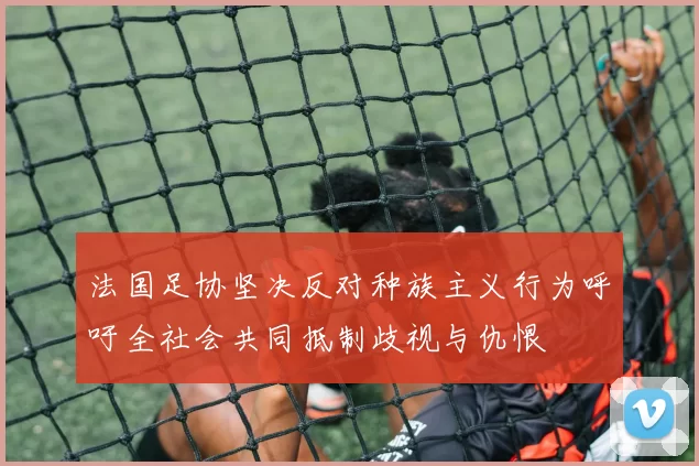法国足协坚决反对种族主义行为呼吁全社会共同抵制歧视与仇恨