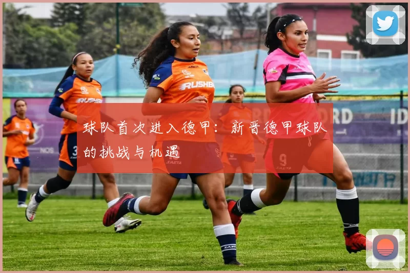 球队首次进入德甲：新晋德甲球队的挑战与机遇
