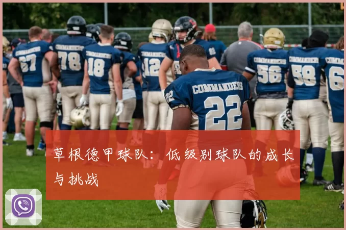 草根德甲球队:低级别球队的成长与挑战