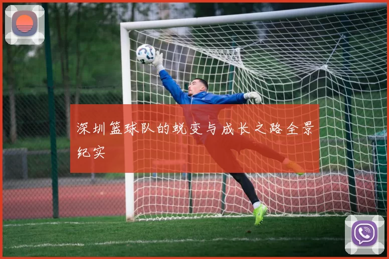 深圳篮球队的蜕变与成长之路全景纪实