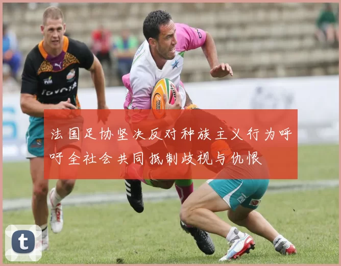 法国足协坚决反对种族主义行为呼吁全社会共同抵制歧视与仇恨