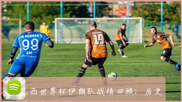 巴西世界杯伊朗队战绩回顾:历史最佳表现背后的战术解析