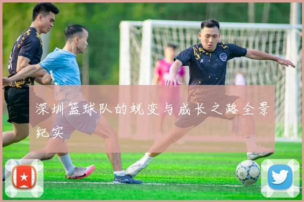深圳篮球队的蜕变与成长之路全景纪实