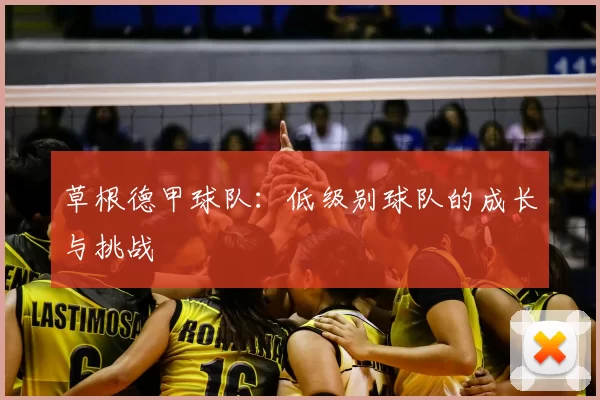 草根德甲球队:低级别球队的成长与挑战