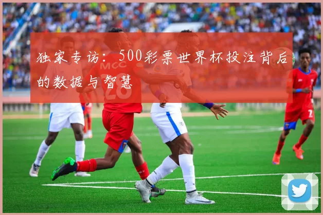 独家专访:500彩票世界杯投注背后的数据与智慧