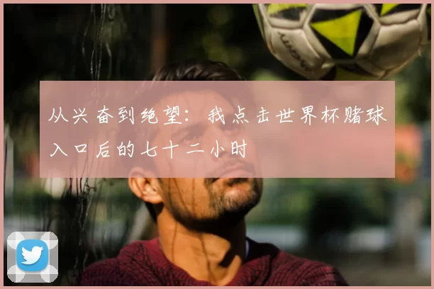 从兴奋到绝望:我点击世界杯赌球入口后的七十二小时