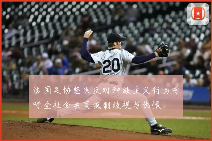 法国足协坚决反对种族主义行为呼吁全社会共同抵制歧视与仇恨