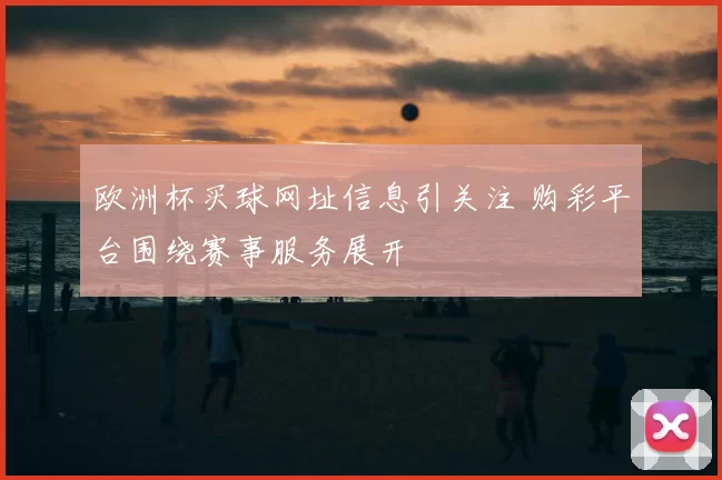 欧洲杯买球网址信息引关注 购彩平台围绕赛事服务展开