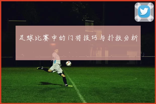 足球比赛中的门将技巧与扑救分析