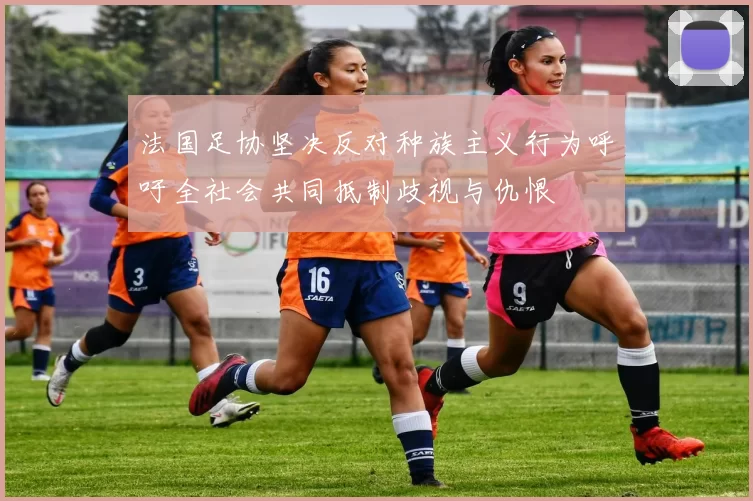 法国足协坚决反对种族主义行为呼吁全社会共同抵制歧视与仇恨