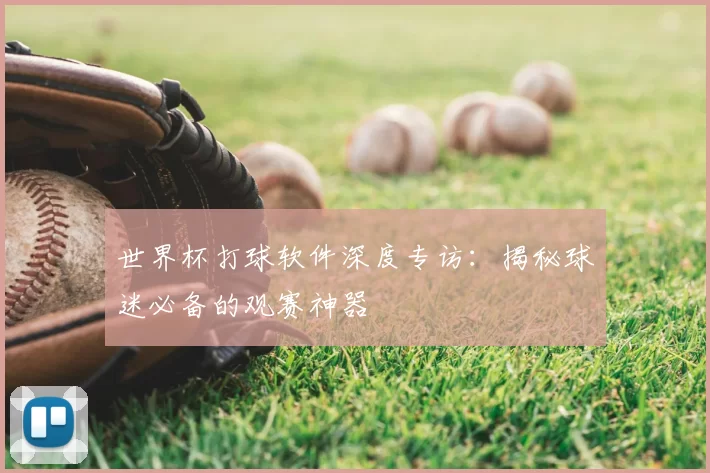 世界杯打球软件深度专访:揭秘球迷必备的观赛神器