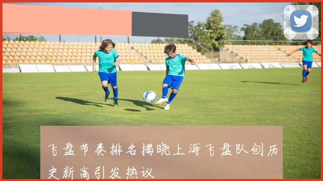 飞盘节奏排名揭晓上海飞盘队创历史新高引发热议